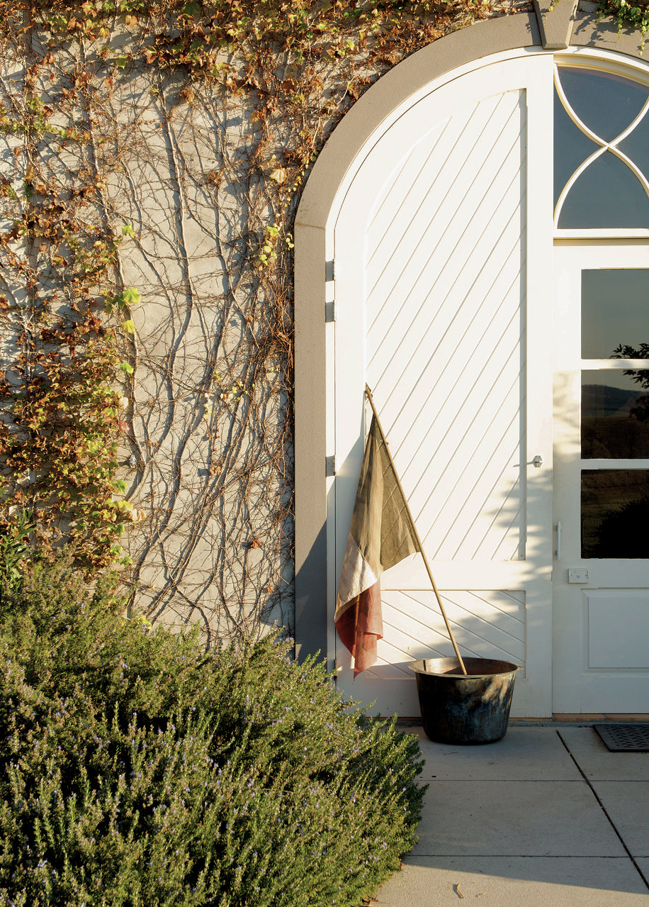 A French flag stands in a black pot outside a white arched door, with sunlight casting shadows on the wall covered in climbing ivy and green bushes in the foreground.