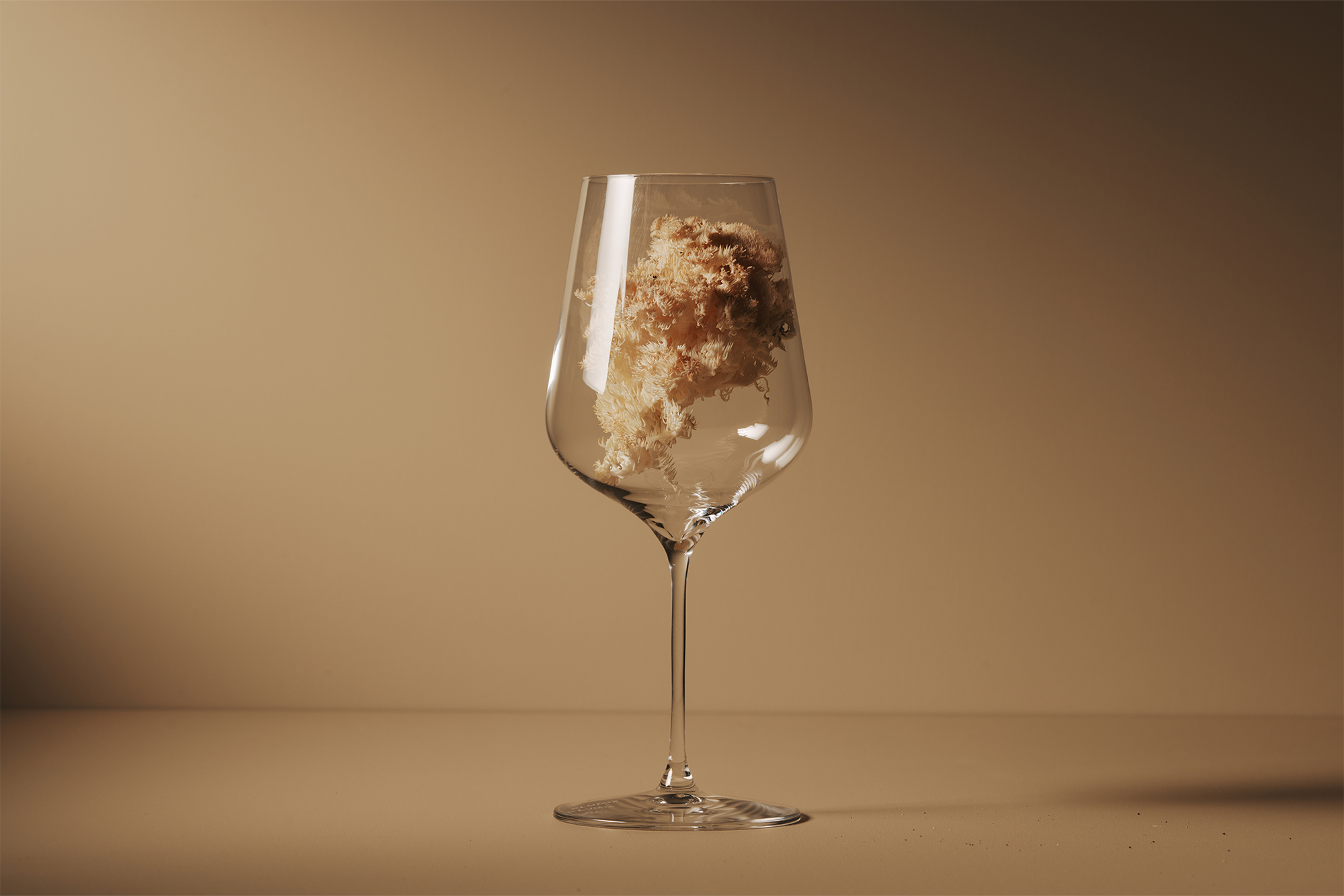 A clear wine glass contains a fluffy, beige lichen or moss, set against a smooth, neutral background with soft lighting.